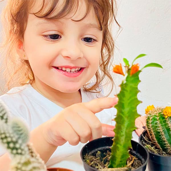 Menina da educação infantil sorrindo enquanto toca um cacto florido em um vaso