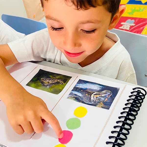 Menino da educação infantil apontando para as fotos de um jacaré e de uma cobra no caderno de atividades